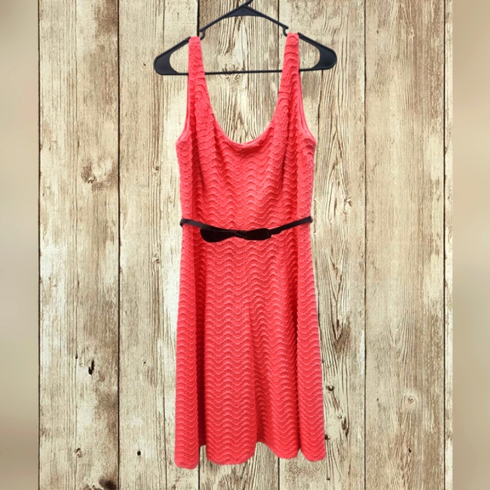 Coral laced knee-length Luxe by Carman Marc Valvo Dress size 14